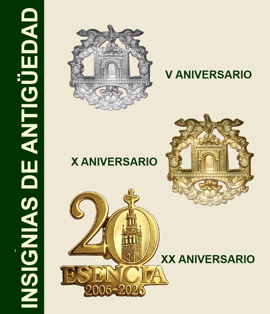 Insignias de antigüedad